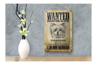 Blechschild Hund 12x18cm wanted dead Yorkshire Schild