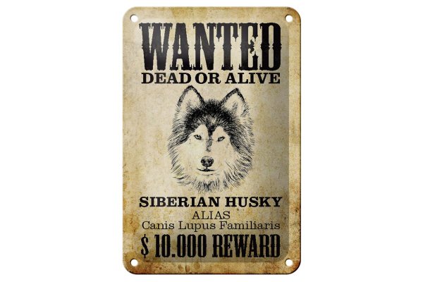 Blechschild Hund 12x18cm wanted Siberian Husky Schild