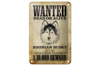 Blechschild Hund 12x18cm wanted Siberian Husky Schild
