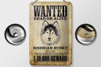 Blechschild Hund 12x18cm wanted Siberian Husky Schild