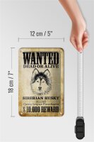 Blechschild Hund 12x18cm wanted Siberian Husky Schild