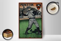 Holzschild Retro 20x30cm Princeton Baseball