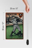 Holzschild Retro 20x30cm Princeton Baseball
