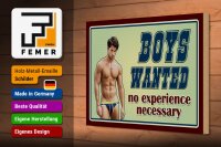 Holzschild Pinup 30x20cm Boys wanted no experience