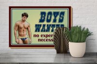 Holzschild Pinup 30x20cm Boys wanted no experience