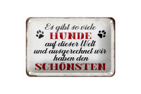 Blechschild Spruch 18x12cm es gibt so viele Hunde Schild