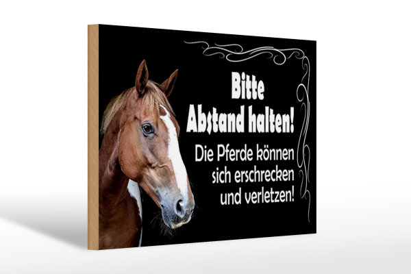 Holzschild Spruch 30x20cm bitte Abstand halten Pferde