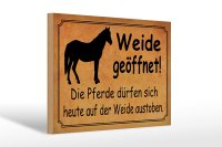 Holzschild Spruch 30x20cm Weide geöffnet Pferde...