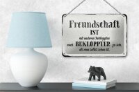 Blechschild Spruch 18x12cm Freundschaft ist mit anderen