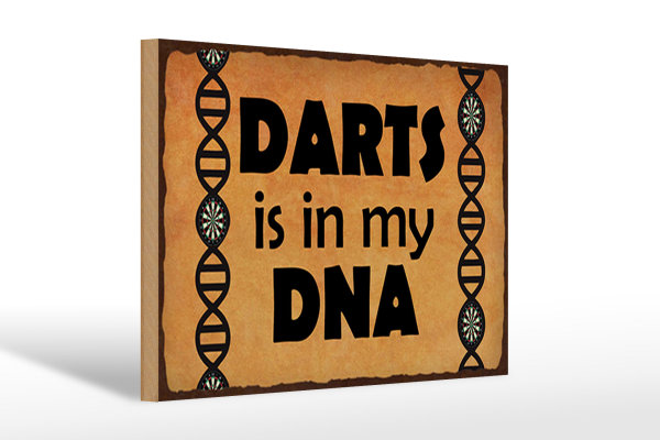 Holzschild Spruch 30x20cm Darts is in my DANN