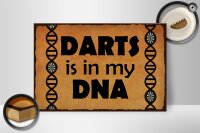 Holzschild Spruch 30x20cm Darts is in my DANN
