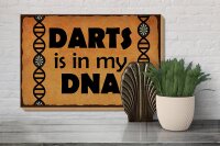 Holzschild Spruch 30x20cm Darts is in my DANN