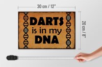 Holzschild Spruch 30x20cm Darts is in my DANN