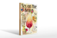 Holzschild Rezept 20x30cm Sex on the Beach Licor Vodka