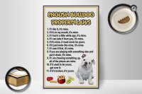 Holzschild Spruch 20x30cm english bulldog property laws
