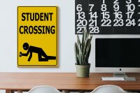 Holzschild Spruch 20x30cm student crossing Bier