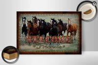 Holzschild Pferde 30x20cm welcome friends
