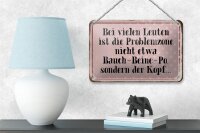 Blechschild Spruch 18x12cm Problemzone ist der Kopf Retro