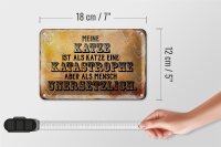 Blechschild Spruch 18x12cm meine Katze ist eine Katastrophe