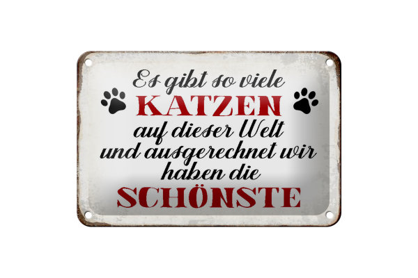 Blechschild Spruch 18x12cm wir haben die schönste Katze