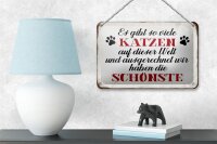 Blechschild Spruch 18x12cm wir haben die schönste Katze