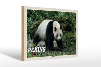 Holzschild Reise 30x20cm Peking China Panda Haus Schild