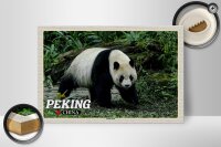 Holzschild Reise 30x20cm Peking China Panda Haus Schild