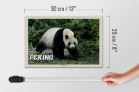Holzschild Reise 30x20cm Peking China Panda Haus Schild