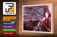 Holzschild Reise 30x20cm Tokio Japan Kirschblüten Bäume Fluss Deko