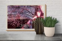 Holzschild Reise 30x20cm Tokio Japan Kirschblüten Bäume Fluss Deko