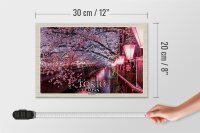 Holzschild Reise 30x20cm Tokio Japan Kirschblüten Bäume Fluss Deko