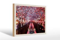 Holzschild Reise 30x20cm Tokio Japan...
