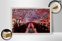 Holzschild Reise 30x20cm Tokio Japan Kirschblütenfest Bäume Fluss