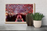 Holzschild Reise 30x20cm Tokio Japan Kirschblütenfest Bäume Fluss