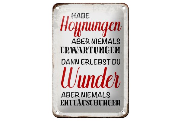 Blechschild Spruch 12x18cm habe Hoffnung Erwartungen Wunder