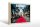 Holzschild Reise 30x20cm Hollywood USA Universal Studios