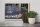 Holzschild Reise 30x20cm Hollywood USA Walk of Fame