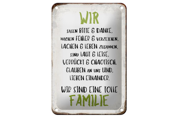 Blechschild Spruch 12x18cm wir sind eine tolle Familie