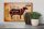 Holzschild Lamm 30x20cm Lamb cuts Organic Metzgerei