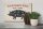 Holzschild Schwein 30x20cm Pork cuts Metzgerei Fleisch