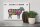 Holzschild Lamm 30x20cm cuts of meat lamb Metzgerei
