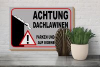 Holzschild Hinweis 30x20cm Achtung Dachlawinen Gefahr