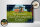 Holzschild Spruch 30x20cm verpassen Erbe unserer Kinder