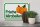Holzschild Hinweis 30x20cm frische Mirabellen Hofladen