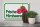 Holzschild Hinweis 30x20cm frische Himbeeren Hofladen