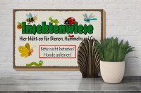 Holzschild Hinweis 30x20cm Insektenwiese Bienen Hummeln