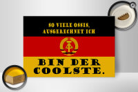 Holzschild Spruch 30x20cm so viele Ossis bin der coolste