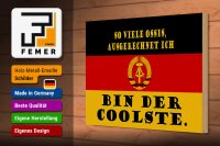 Holzschild Spruch 30x20cm so viele Ossis bin der coolste