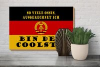 Holzschild Spruch 30x20cm so viele Ossis bin der coolste