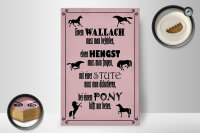 Holzschild Spruch 20x30cm Pferde Wallach Hengst Pony Stute
